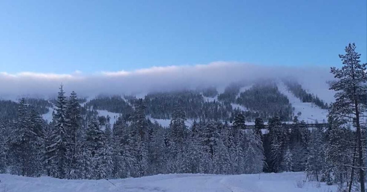 Löten